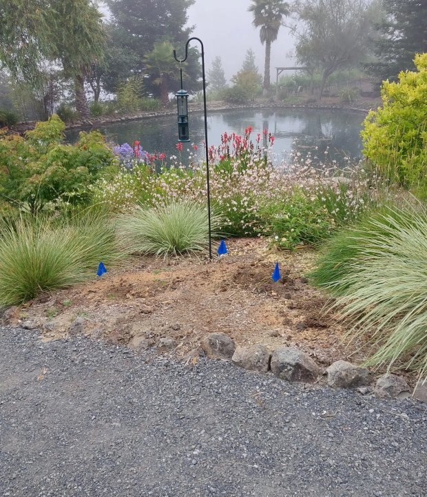 Finished landscape installation work for a Santa Rosa homeowner
